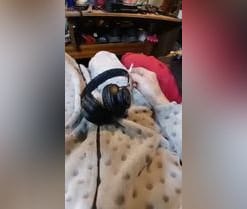 Dennisx32 en directo