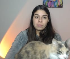 CataSweet