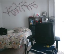 LADYCRONAXX