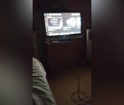 chulito230
