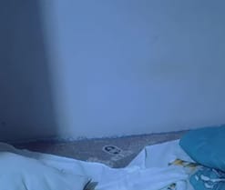 Webcam de MichelleJJ