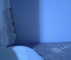 Webcam de MichelleJJ