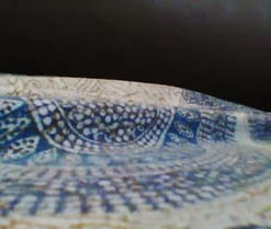 ojosgatomadrid1