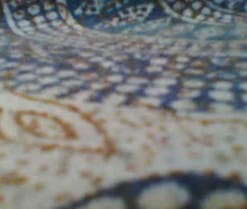 ojosgatomadrid1