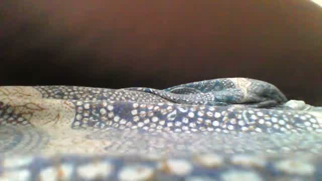 Ojosgatomadrid1 live on Amateur.tv