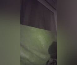 Gatubelu_75