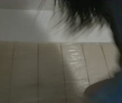 LAURACUTEE