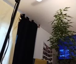 Webcam de D1408