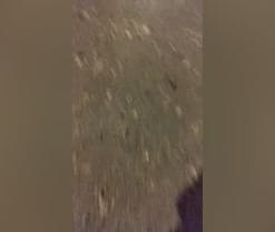 D1408