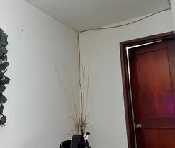DestinyHills, en directo ahora en Amateur.tv