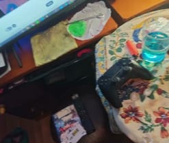 Dileilei2