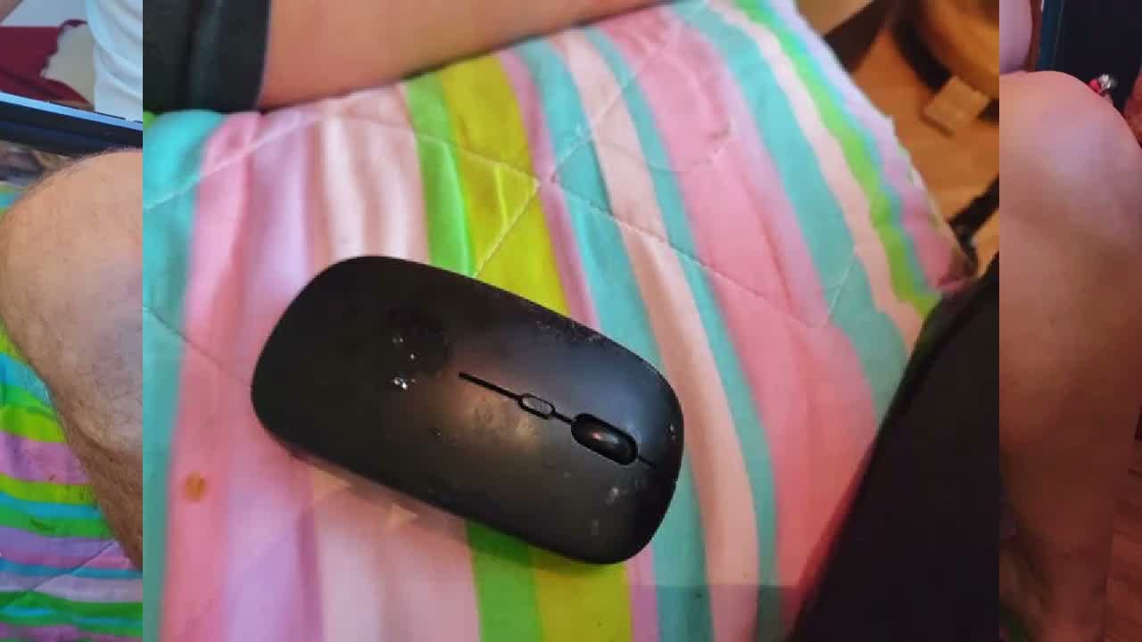 Dileilei2