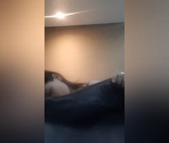 Avril_xo