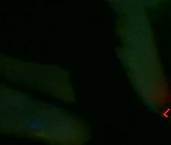 PAREJASILKI1