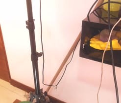 sarayandcamilo en directo por webcam