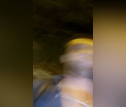 Xito7