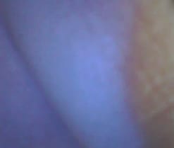 Webcam de sexAbby