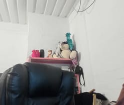 mariecam