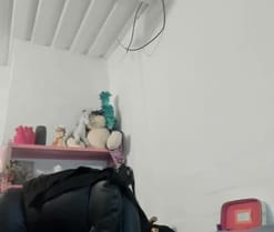 mariecam