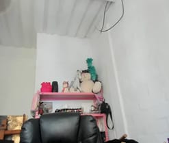 mariecam