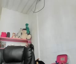 mariecam