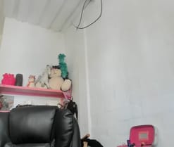 mariecam