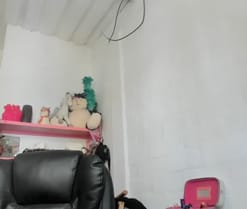 mariecam