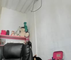 mariecam