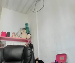 mariecam