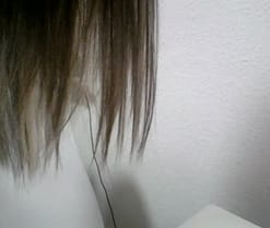 Parejitaxx1