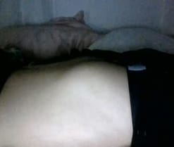 Parejitaxx1