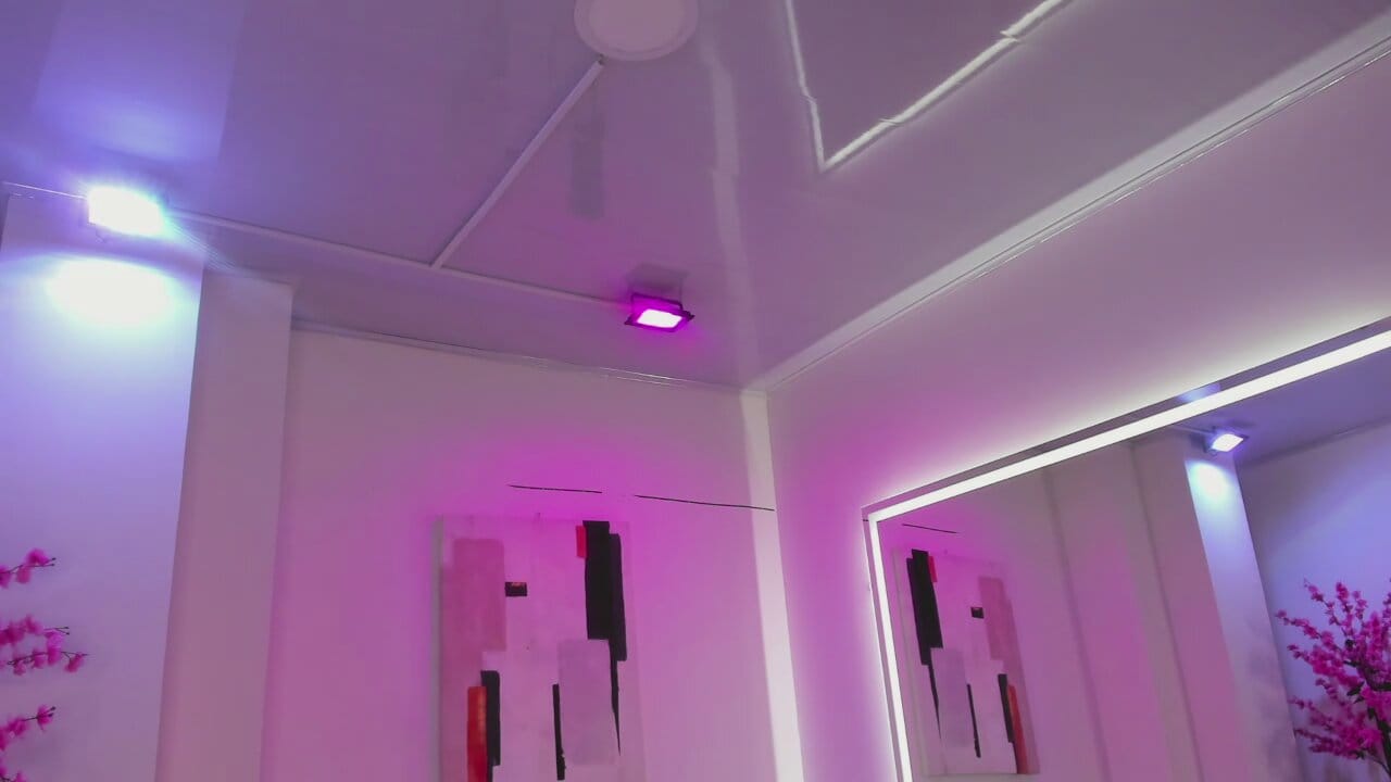 Leia_laurent
