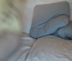 Webcam de MorboSutil