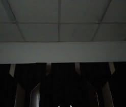 Oriana69_