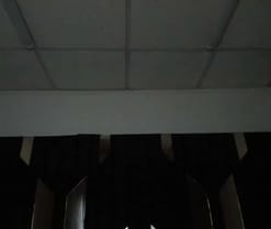 Oriana69_
