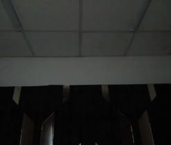 Oriana69_