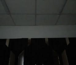 Oriana69_