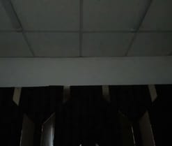 Oriana69_