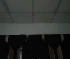 Oriana69_