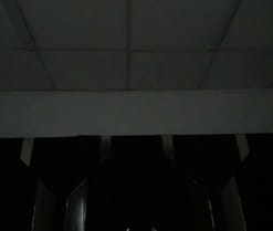Oriana69_