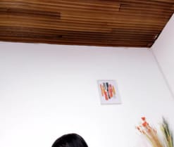 Vanes_hontter