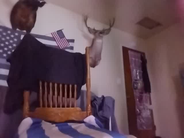 MetalHeadDad666 Live Chat on Amateur.TV