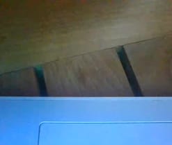 travolga en directo por webcam