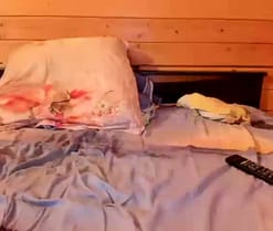 ultrachick live cam