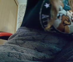 FresyGR en directo por webcam