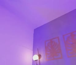 majo_rose live cam