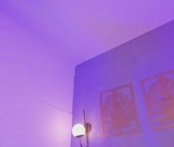 majo_rose live cam