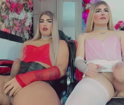  веб-камера