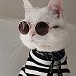 gatitamiauu