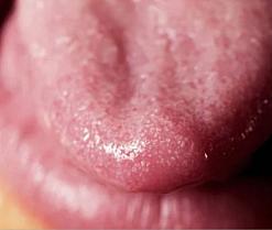 Sex cams model avatar pic - Quilloven